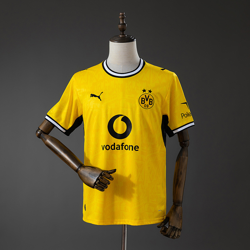 Borussia Dortmund 26/27 Local